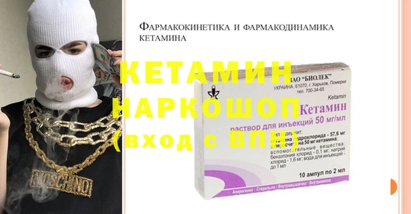 индика Медногорск