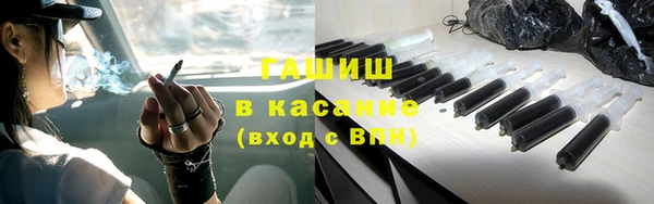индика Медногорск