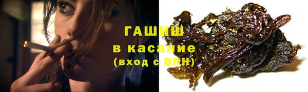 индика Медногорск