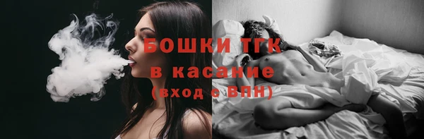 молекула духа Мегион