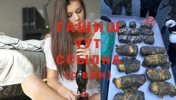 молекула духа Мегион