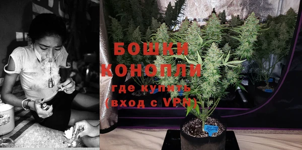 индика Медногорск