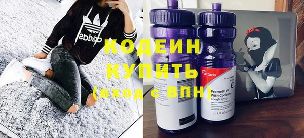 индика Медногорск