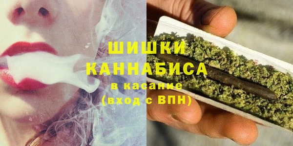 молекула духа Мегион