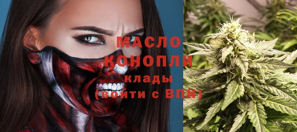 молекула духа Мегион