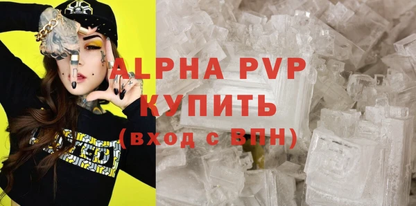 индика Медногорск