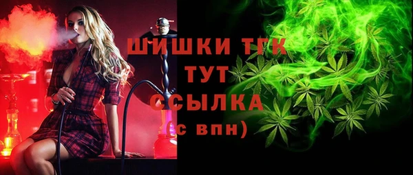 индика Медногорск