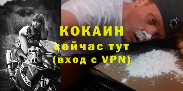 молекула духа Мегион