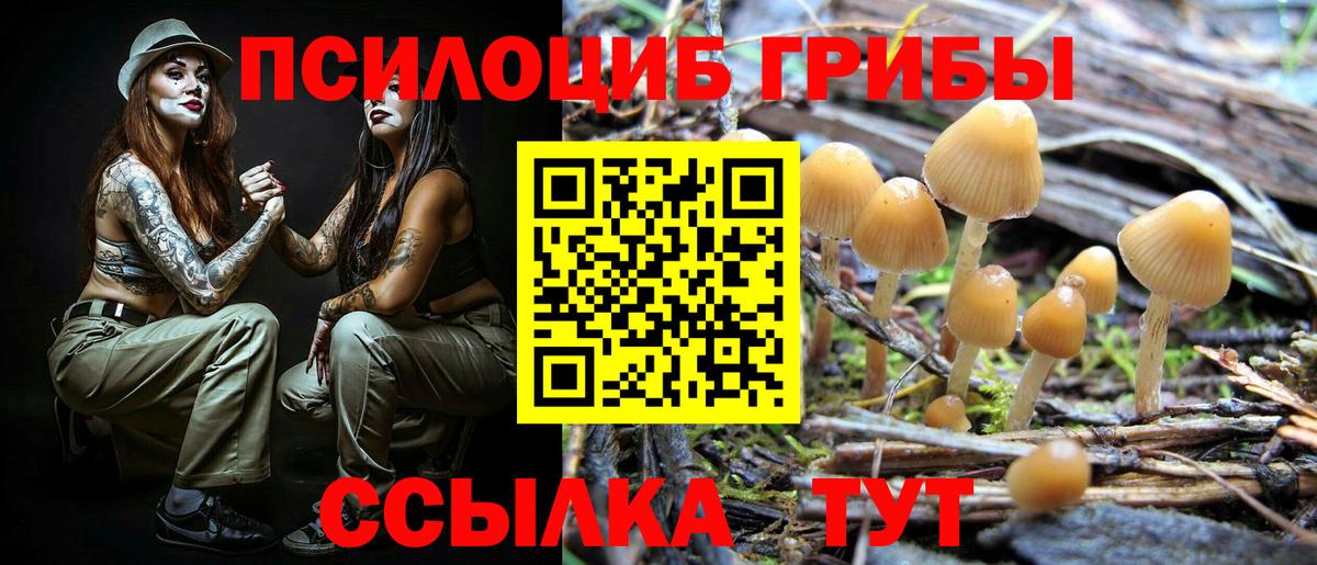 Псилоцибиновые грибы мухоморы  Вход с VPN  Химки 