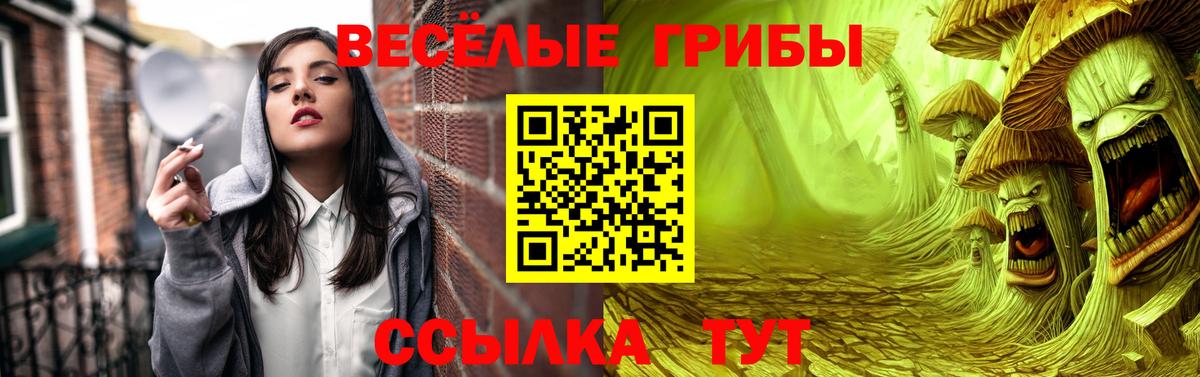 Псилоцибиновые грибы Psilocybine cubensis Химки